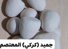جميد (كركي) بلدي جميد (كركي) بلدي