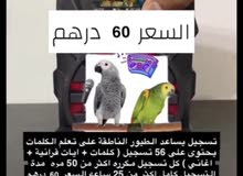 تسجيل لمساعدة الطيور علي تعلم الكلمات … تسجيل لمساعدة الطيور علي تعلم الكلمات …