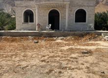 Residential Land for Sale in Jericho Ad Duyuk