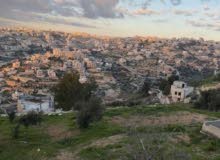 Mixed Use Land for Sale in Hebron Tapuah