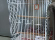 BIG CAGE AND MOBILE STAND AVAILABLE AT VERY LOW PRICE (For Big Parrots like Casco) BIG CAGE AND MOBILE STAND AVAILABLE AT VERY LOW PRICE (For Big Parrots like Casco)