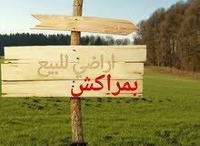 كن اول المستثمرين بمراكش كن اول المستثمرين بمراكش