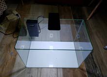 fish tank fish tank