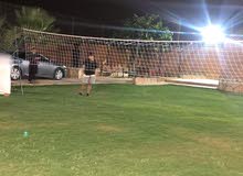 استراحة وشاليه النخيل استراحة وشاليه النخيل