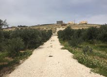 مزرعة وشاليه للبيع في الاردن مزرعة وشاليه للبيع في الاردن