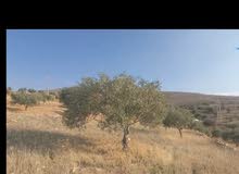 Residential Land for Sale in Zarqa Other