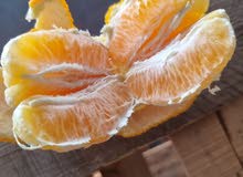 توجد 18 طبلية برتقال مغربي عصير