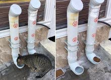 Cat feeder Cat feeder
