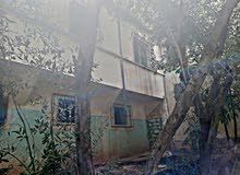 منزل للبيع في زواية الشيخ ثمن خيالي