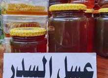 مناحل البصرة مناحل البصرة