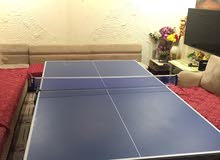 Hobby table tennis
