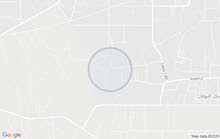 مطلوب شقة مطلوب شقة