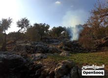 Residential Land for Sale in Salfit Pedaya