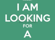 Looking for a Job in Administration Field Looking for a Job in Administration Field