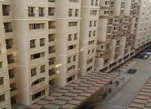 مطلوب شريك مطلوب شريك