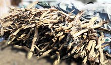 حطب سمر وقرض مستورد حطب سمر وقرض مستورد