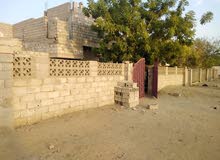 بيت في الاسكان بورتسودان للبيع بيت في الاسكان بورتسودان للبيع