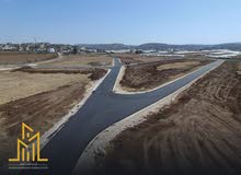 Farm Land for Sale in Jenin Beit Qad