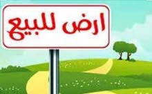 ارض في مخطط السلام ارض في مخطط السلام