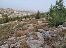 Mixed Use Land for Sale in Hebron Dura