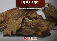 عود بابوا عود بابوا
