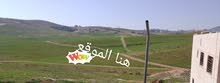 Residential Land for Sale in Amman Zinat Al-Rubue