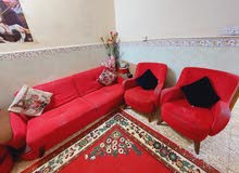 تخم للبيع تخم للبيع