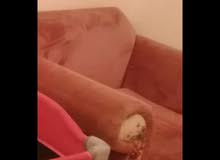 كنب 8 مقاعد..اثنين ثلاثي واثنين مفرد بحالة ممتازة كنب 8 مقاعد..اثنين ثلاثي واثنين مفرد بحالة ممتازة