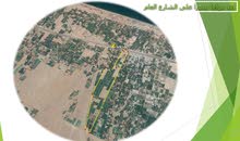مزرعه للإيجار أو الاستثمار في شمال الباطنة على الشارع العام مباشرة مزرعه للإيجار أو الاستثمار في شمال الباطنة على الشارع العام مباشرة