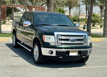 Ford F-150 / 2013 (Green)