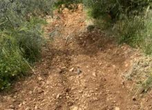 Mixed Use Land for Sale in Hebron Other