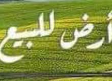 Commercial Land for Sale in Ramallah and Al-Bireh Jifna