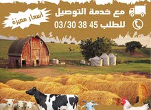 جميع انواع العلف جميع انواع العلف