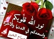 ارض للبيع عنيبه بالقرب من مزرعه محمد نوح القضاه ارض للبيع عنيبه بالقرب من مزرعه محمد نوح القضاه