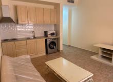 Studio & 1 Bedroom apartments for rent Direct from Owner