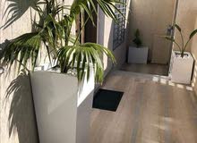 pots et plants pots et plants