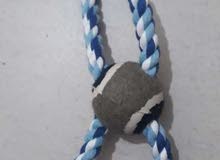 pet toys at affordable prices pet toys at affordable prices