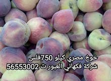 شركة فكهاني العبور للخضار والفواكه الطازجة شركة فكهاني العبور للخضار والفواكه الطازجة