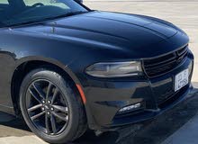 Dodge Charger 2019 in Basra