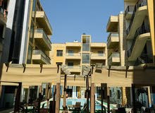 1 Bedroom Farms for Sale in Jordan Valley Dead Sea