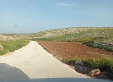 Mixed Use Land for Sale in Irbid Sama Al-Rousan