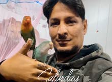 زوج غنادير اليفات طينة للبيع زوج غنادير اليفات طينة للبيع