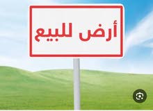 أرض منطقه c بجانب بركه الشعراوي