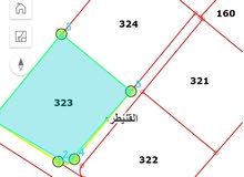 Farm Land for Sale in Amman Al-Quneitirah