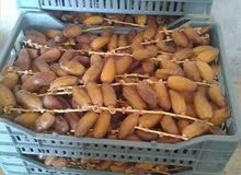 دقلة النور التونسية دقلة النور التونسية