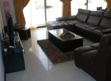 Flat For Rent Flat For Rent