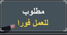 مطلوب فورا مناديب مبيعات رخصه خاصه مطلوب فورا مناديب مبيعات رخصه خاصه