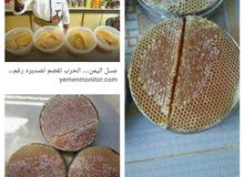 جميع انواع العسل اليمني والزبيب واللوز البلدي اليمني جميع انواع العسل اليمني والزبيب واللوز البلدي اليمني