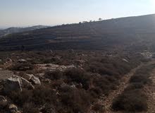 Mixed Use Land for Sale in Ramallah and Al-Bireh Dayr Jarir