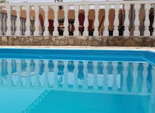 استراحة وشاليه النخيل فيو استراحة وشاليه النخيل فيو